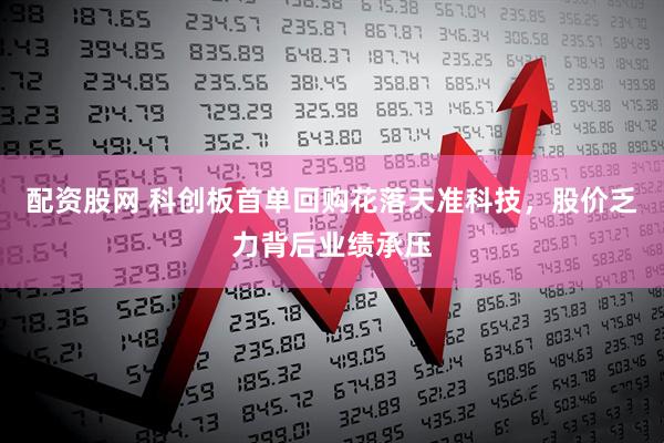 配资股网 科创板首单回购花落天准科技，股价乏力背后业绩承压