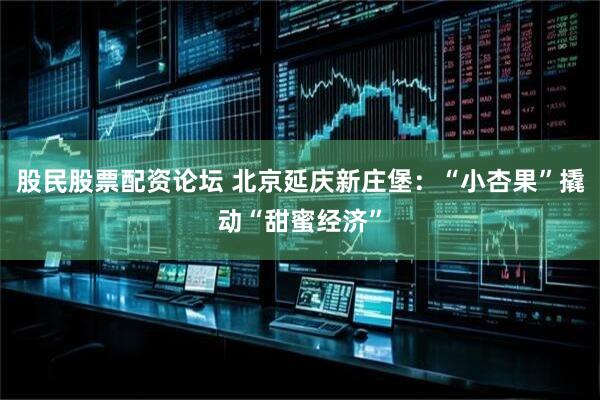 股民股票配资论坛 北京延庆新庄堡：“小杏果”撬动“甜蜜经济”